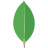 Mongo DB logo